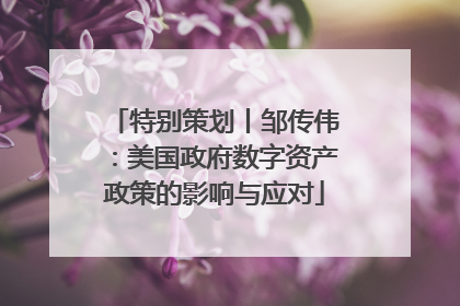 特别策划丨邹传伟：美国政府数字资产政策的影响与应对